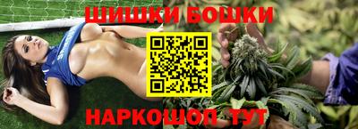 apvp Гусев