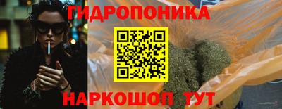 apvp Гусев