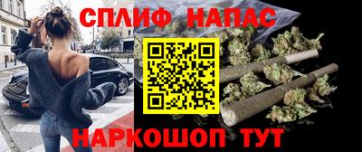 apvp Гусев