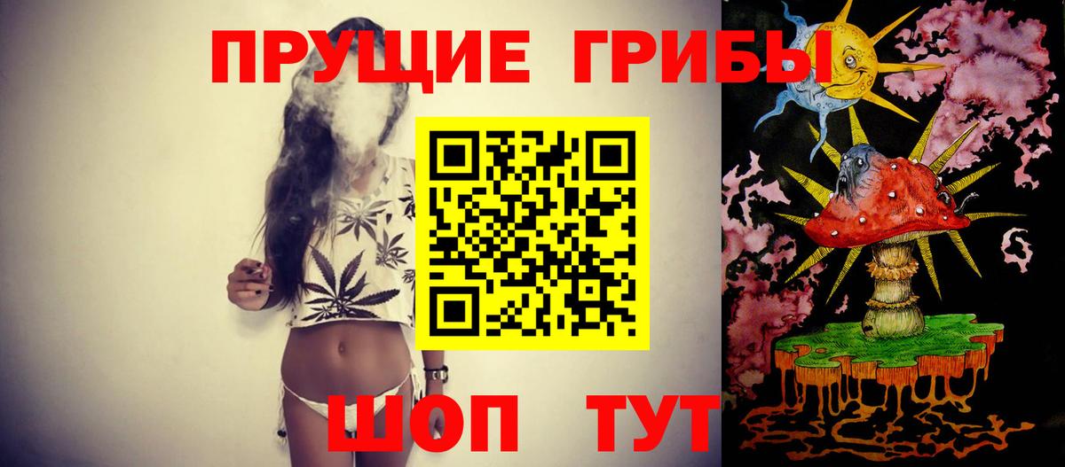 Новоуральск  Псилоцибиновые грибы GOLDEN TEACHER  Вход с VPN 
